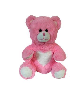 Pink Hearts Teddy Bear